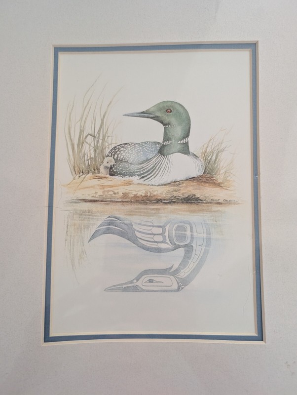 Sue Coleman “The Loon” Framed Print 8.5x6.5in print on a 14" x11" Matt Sealed gallery