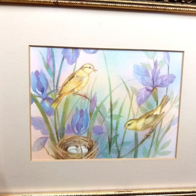 Vintage Goldfinch & Robin Art Prints Painted Gold Wood Frame Cottage Core Pastel gallery