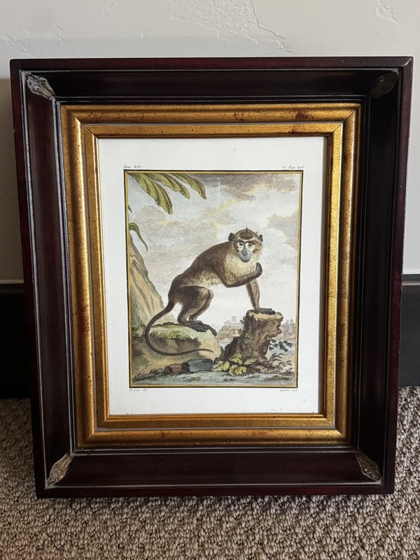 Set of 2 Framed Monkey Prints modeled by Jacques de Seve (French 1715-1795)