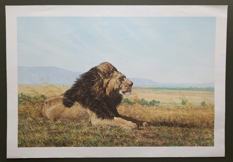 SIMON COMBES «FACING THE WIND» LION PRINT Signed & Numbered 546/1000 Circa1980
