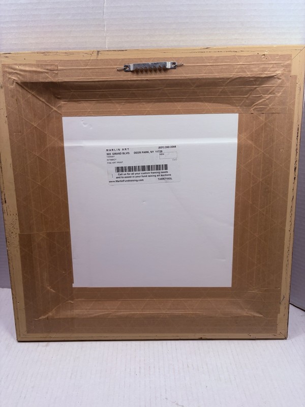 Tom King Print Abstract 16x16 Framed gallery