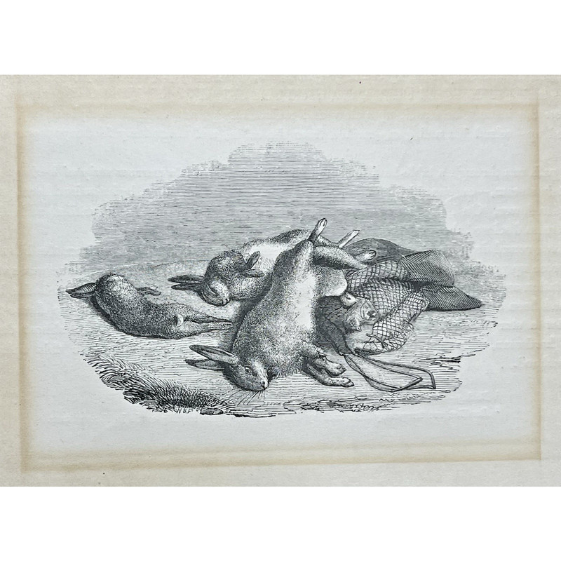 Antique Wood Engraving Print Hunting Hares Birds Quail After the Hunt from Book