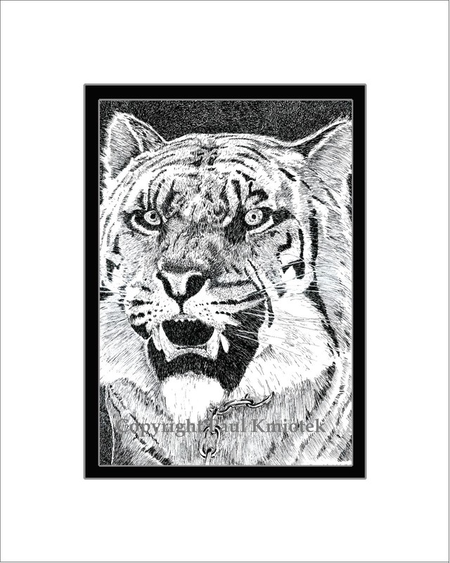 Shiva Print, Note Card, Pen and Ink, Matted, Tiger, Walking Dead