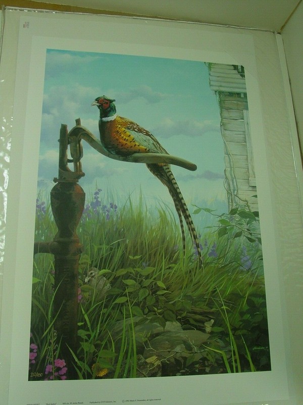 The Red Jacket Pheasant Print by Mario Fernandez S/N 31 X 21 inches