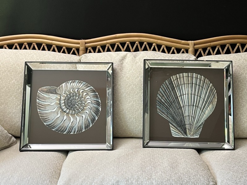 Cheryl P. Kohloff «Sand & Sea Shells» Mirrored Framed Prints – Big Fish Art