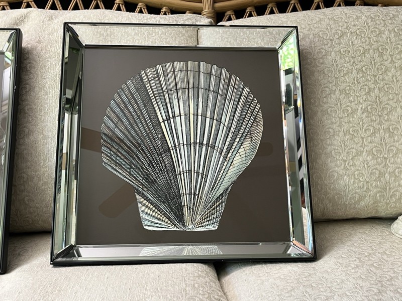 Cheryl P. Kohloff "Sand & Sea Shells" Mirrored Framed Prints – Big Fish Art gallery