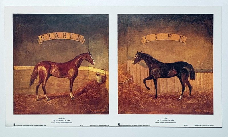 Horse in Stable by Thomas LaDuke reproduction print