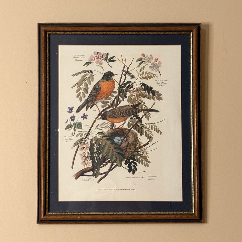 Arthur Singer – Vintage «Robin» Print #5 of #8 in Series