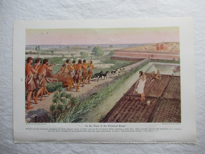 1941 Egyptian Hunters W/ Dogs Egypt Color Art Print 10x7" Painting by H.M Herget