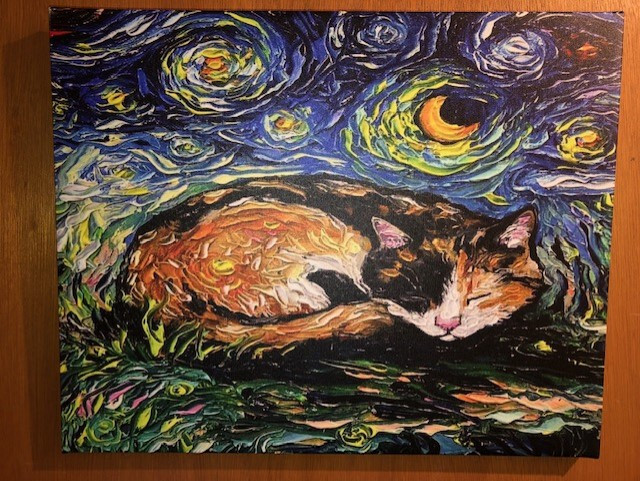 «STARRY STARRY CAT» Custom Print On Canvas 16×20/Includes Wall Mounting Hardware