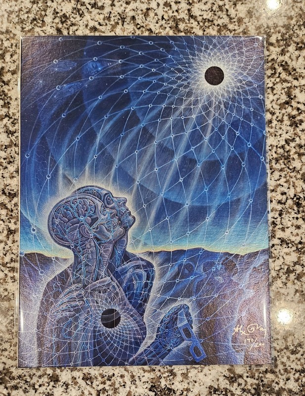 Alex Grey Eclipse Art Print Signed 171/200 Metallic Pearlescent w/COA TOOL