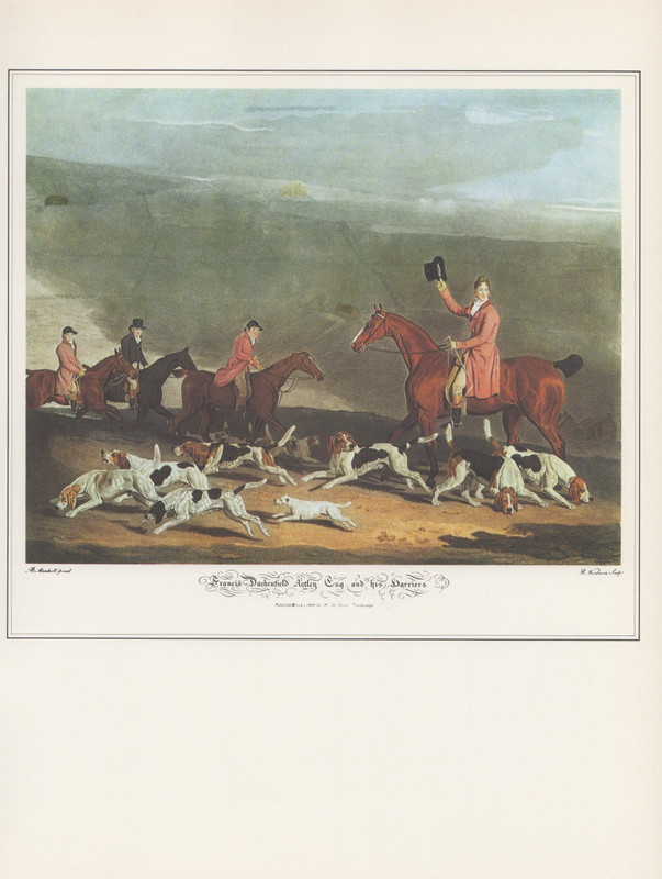 1974 Vintage DEER HUNTING «FRANCIS DUCKENFIELD ASTLEY & HARRIERS» Art Lithograph