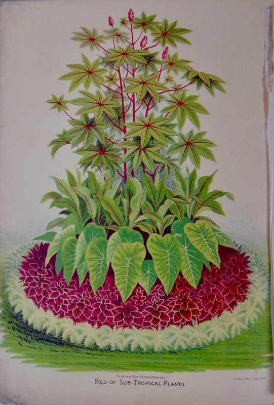 [CHROMOLITHOGRAPH] 20 Plates in Vick's Illustrated Monthly Magazine, 1878-1890 gallery