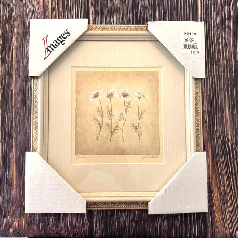 NEW Janice M Brooks Daisies Framed Watercolor Print Floral Neutral Color Classic