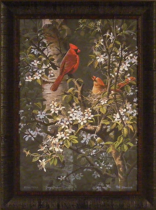 SPRING BONDING by Gadamas Kloetzke Zoellick Schultz 20×27 FRAMED ART Cardinal