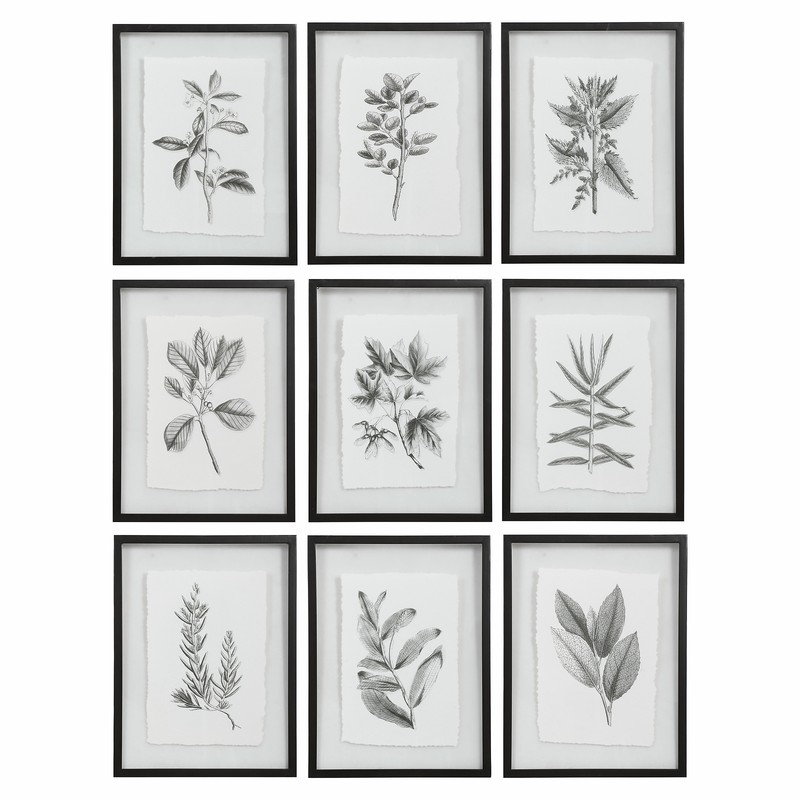 Botanical Black and White Floral Print Set 9 Wall Art Grouping Leaves Framed