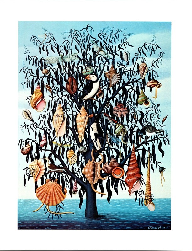 Vintage fantasy art book page James Marsh "Fruit Tree" 1975 FREE SHIPPING gallery