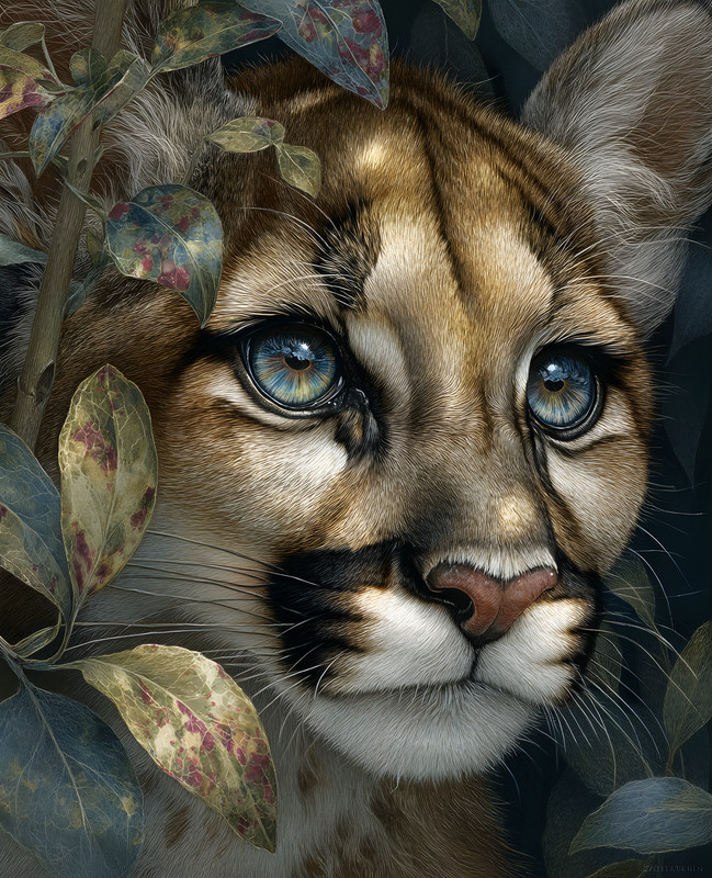 8×10 Wildlife Nature Art Print – 766844568