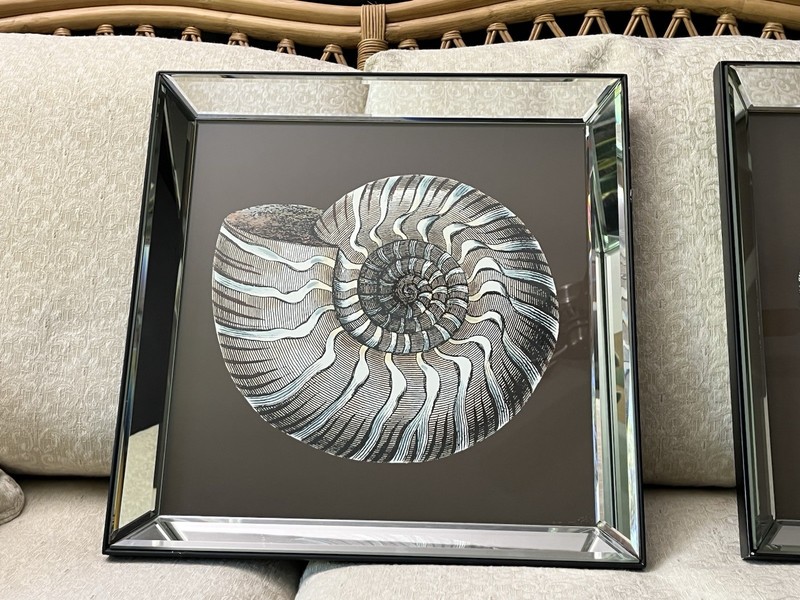 Cheryl P. Kohloff "Sand & Sea Shells" Mirrored Framed Prints – Big Fish Art gallery
