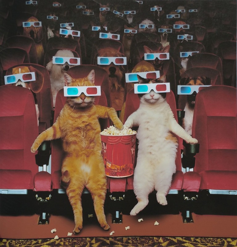 Cats in a 3-D Movie, Funny, digital print,18″h x 18″w image