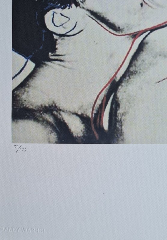 Andy Warhol * Querelle * signed lithograph * art print * limited # 20/125 gallery