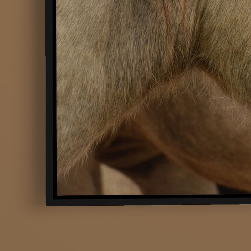 The Yellowstone Collection - Horse Grain - Art Print on Paper or Canvas gallery