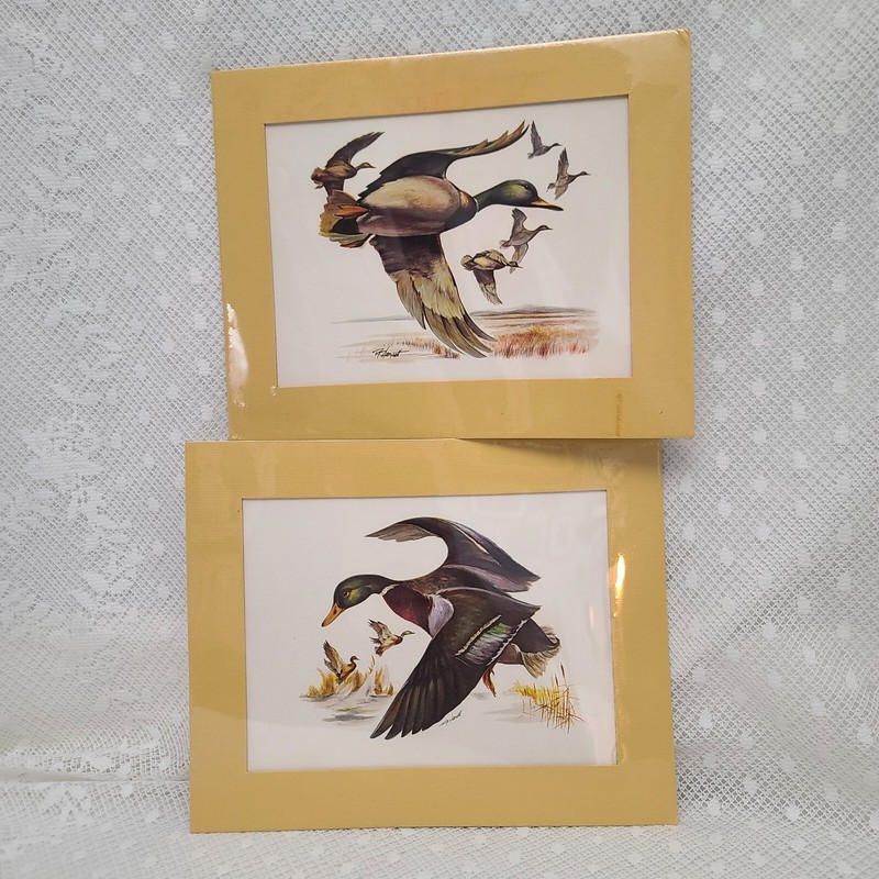 Vintage R. F. HARNETT Sealed Signed Matted Flying Mallard Duck 8×10 Prints Set/2