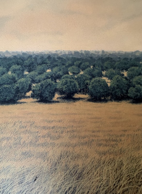 Tomás Sánchez – Untitled (1982) | Signed & Numbered Silkscreen. Cuban Art. gallery