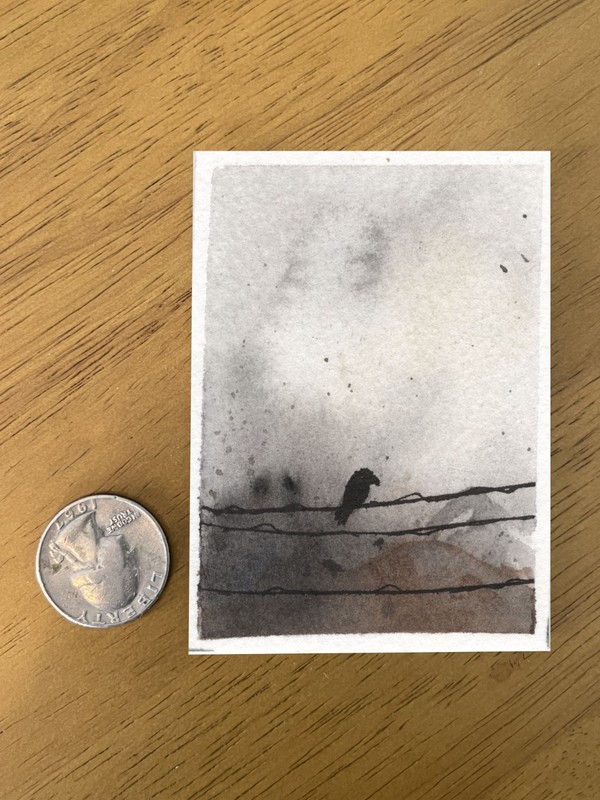 ACEO Original Watercolor Ink Crow Raven Bird on Wire Moody Atmospheric Dark Land gallery