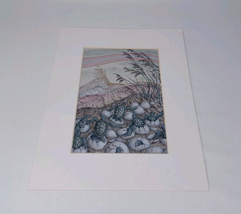Sea Turtle Hatching Sea Turtles Giclee Print gallery