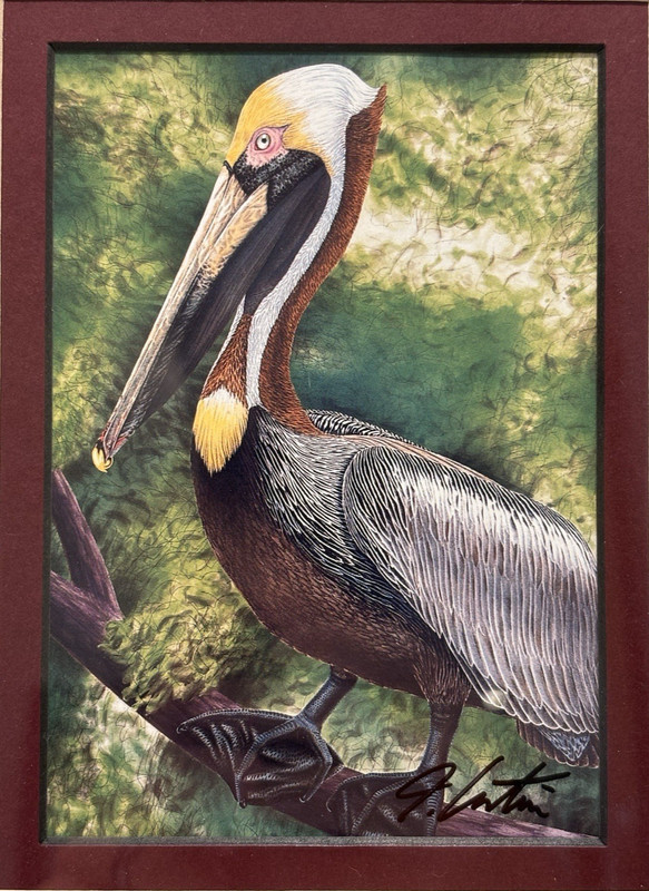 Original Signed «Brown Pelican» Fine Art Print, John Costin, Rare Decor Gifts