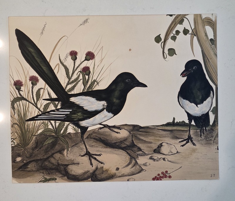 1973 Jerome Trolliet Magpie Lithograph Print – Penn Prints (CUT)