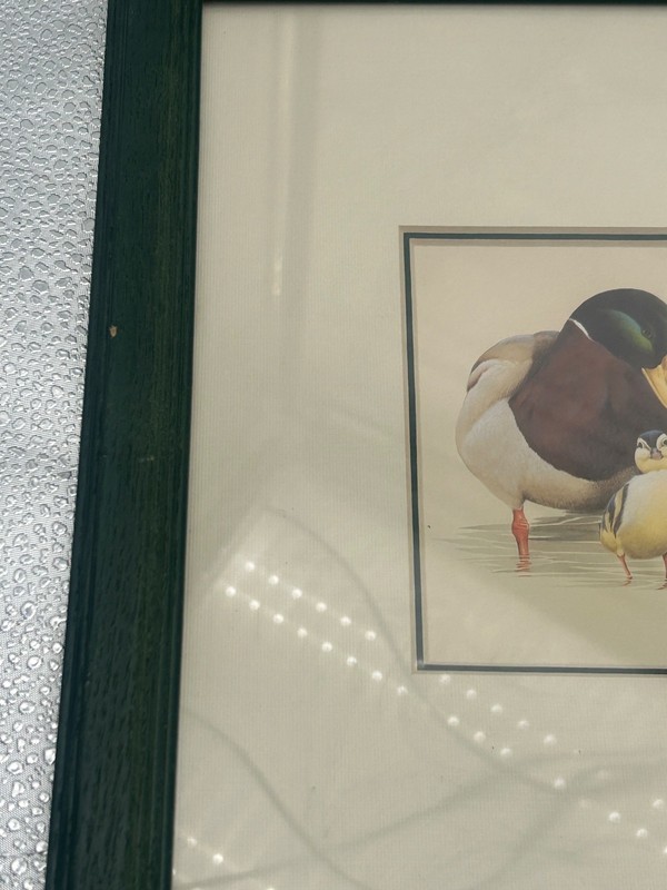 **“The Kids” 1987 SEWE Portraits in Wildlife Art LaMay 12 !/2 By 15 !/2 Inches** gallery