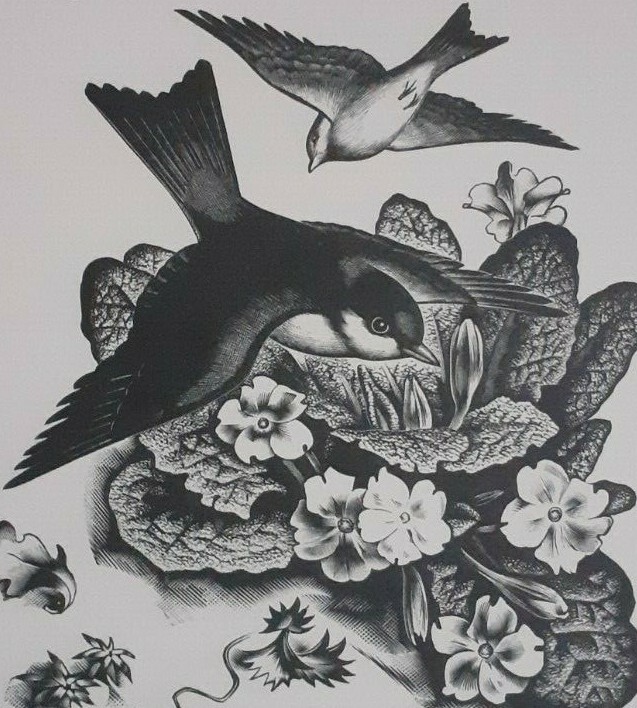 BIRDS (Blue-Tits?) & PRIMROSES : 1936 Print of a Woodcut By A. MILLER-PARKER gallery