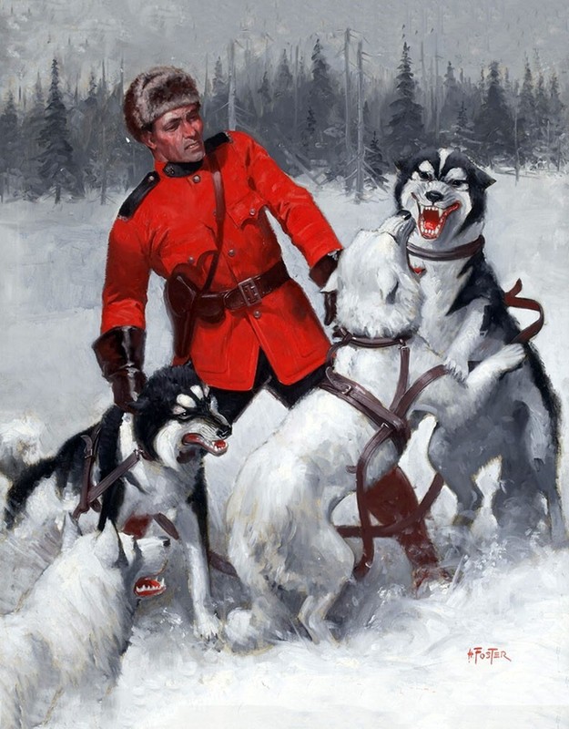 Canadian Mountie Sled Husky Dogs by Hall Foster 11 x 14