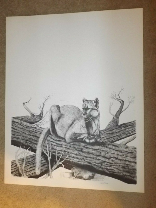 Mountain Lion Pen and Ink Drawing Print