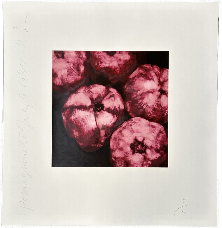 Donald Sultan Pomegranates 1994 Signed Limited Edition Silkscreen