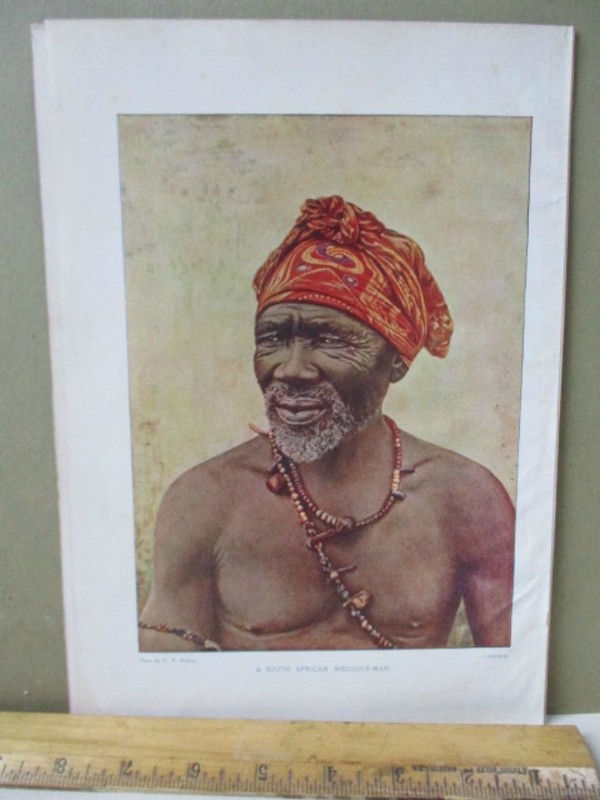 Vintage Print,SOUTH AFRICAN MED MAN,Peoples Natural History Mammals+Birds,1903
