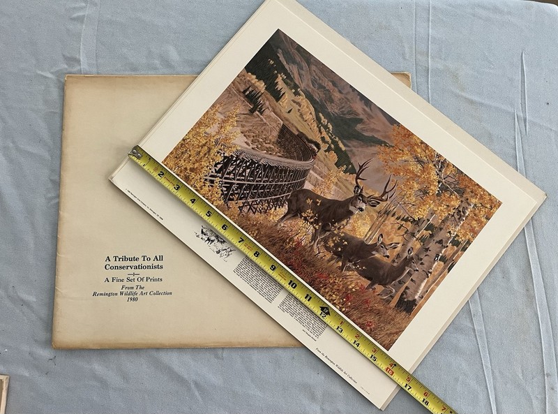 Remington Firearms- 8 Select Fine Prints From The Wildlife Art Collection 1980’s