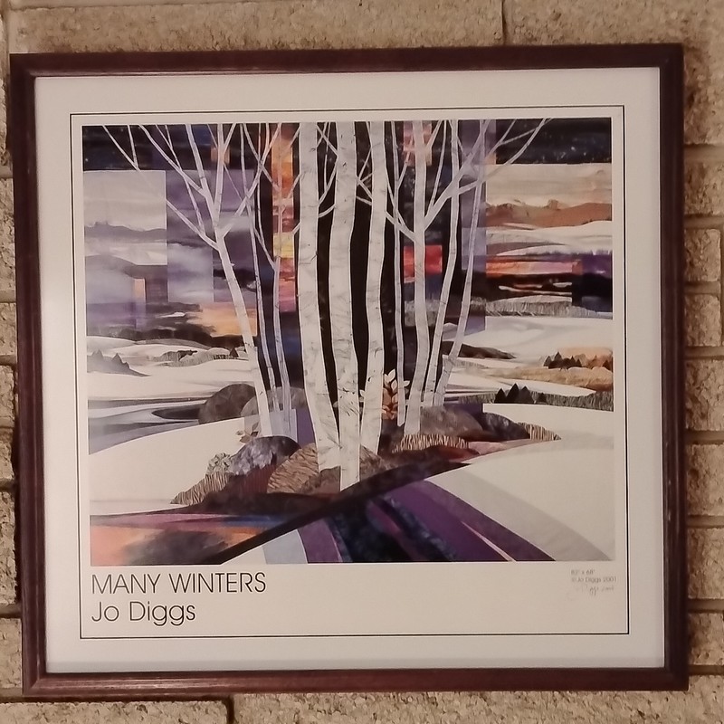Jo Diggs Many Winters 2001 Signed Framed Abstract Art Print 20″x21″ TruGuard UV