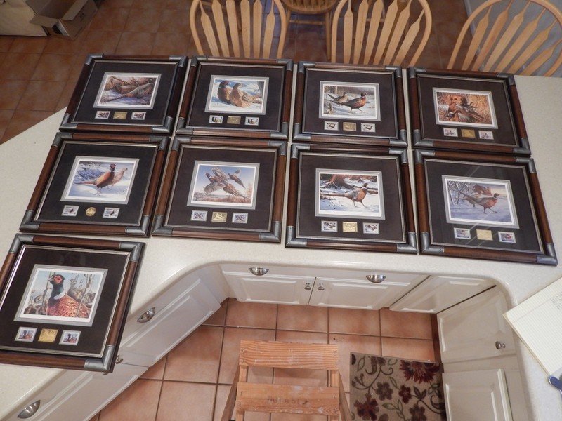 Framed Minn Pheasant Stamp/Print Collection 9 Prints, '83-'91, All Same #289