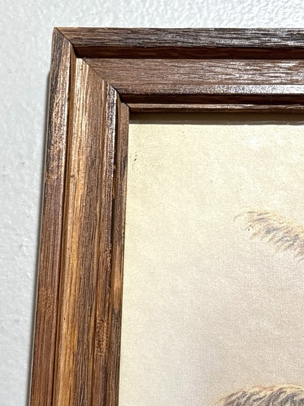 Carol J Latta Framed Duck Print Mallard Waterfowl Wildlife Art Rustic Wood Frame gallery