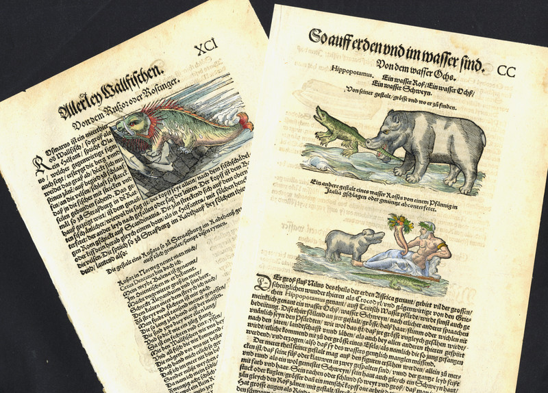 2 RARE 1563 GESNER SEA MONSTER AND HIPPO AND CROCODILE WOODCUTS 462 YEARS OLD