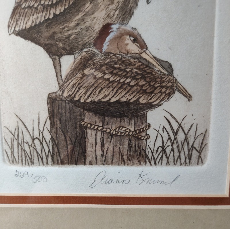 Dianne Krumel Pelicans Hand Colored Numbered Signed Etching Print Framed gallery