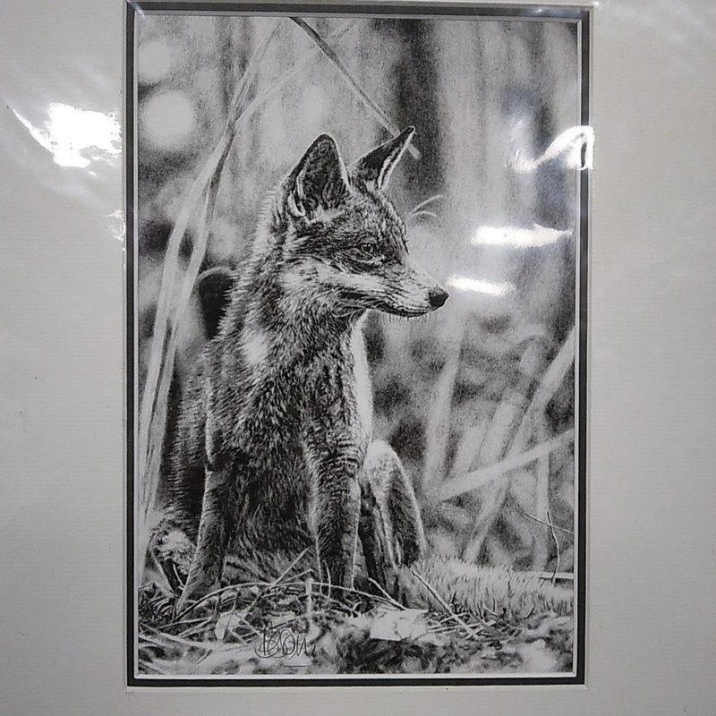 Fox Cub Reproduction Pencil Sketch Print c/w Card Mount - 45cm x 35cm B Coley? gallery
