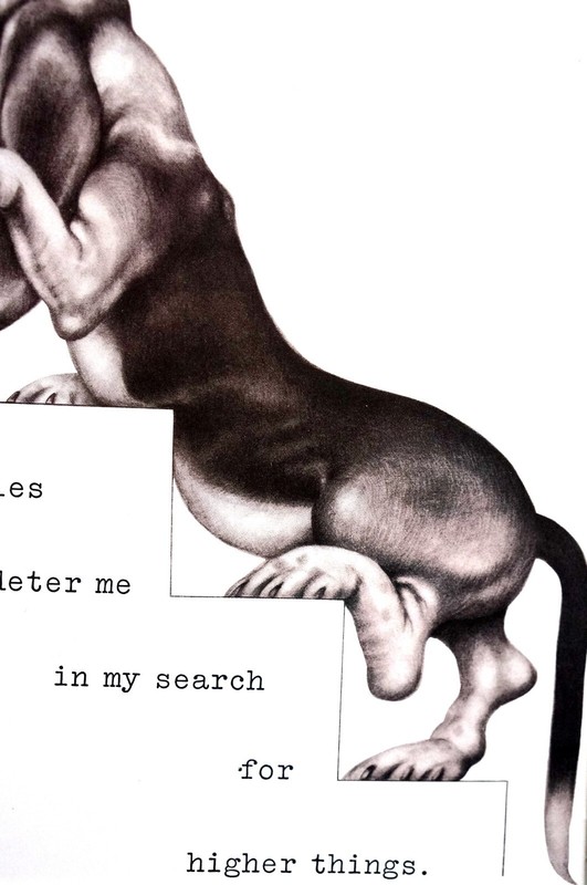 Boswell BASSET HOUND SEARCHING FOR HIGHER THINGS 1958 Vintage Dog Print Matted gallery
