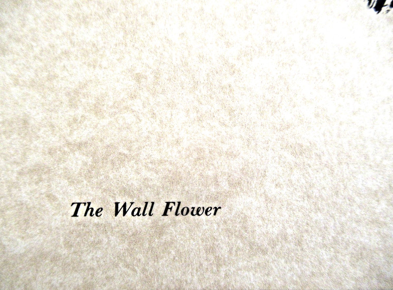"THE WALL FLOWER" ~ (GIBSON GIRL) ~ ** 1909 PEN-AND-INK SKETCH - (11" X 14") ** gallery