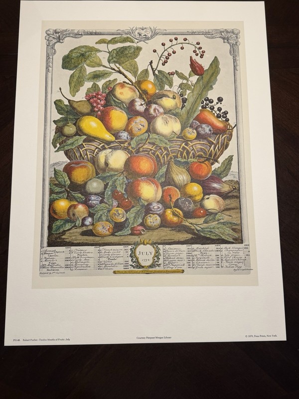 12 Months Of Fruits - JULY - Robert Furber 16 X 21 Unframed - Penn Prints 1970 gallery