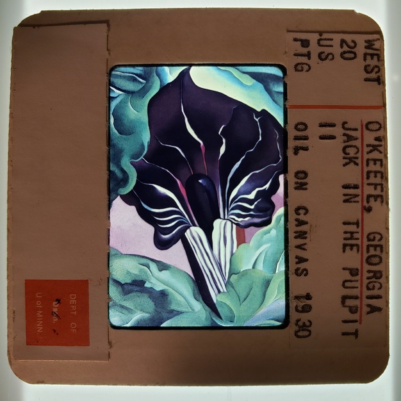 Georgia O’Keeffe Jack In The Pulpit II, 1930 Art 35mm Slide