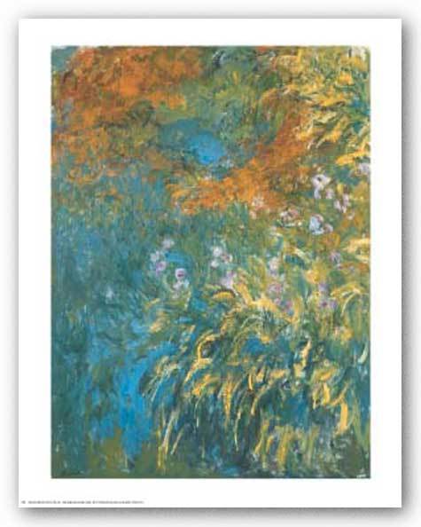 FLORAL ART PRINT Yellow Iris by Claude Monet 20×27